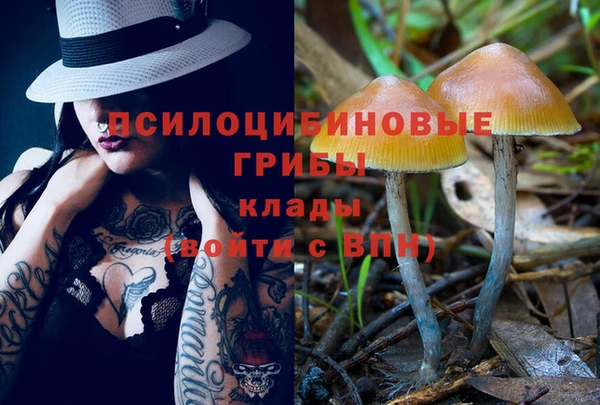 каннабис Алексеевка