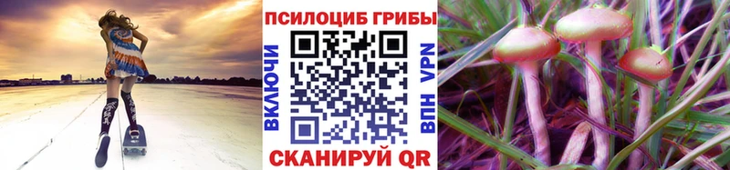 МЕГА онион  купить наркотики сайты  Судак  Псилоцибиновые грибы мицелий 